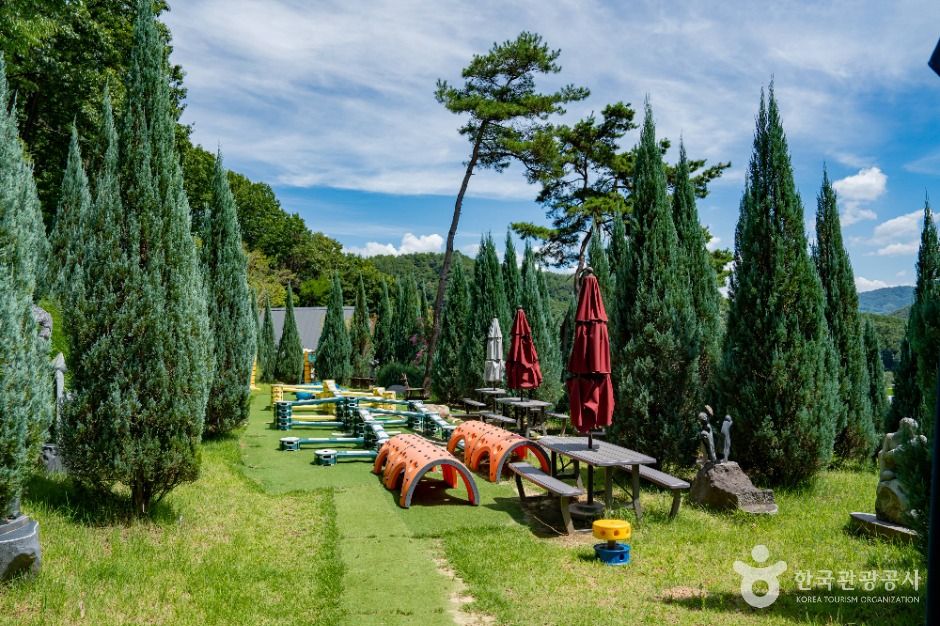 도토리숲 키즈파크 이미지 4