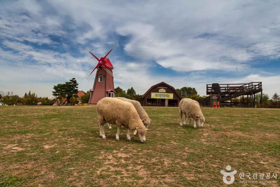 안성팜랜드 이미지 6