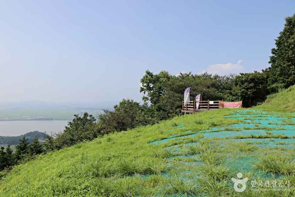 군산 패러글라이딩 스쿨 이미지 6