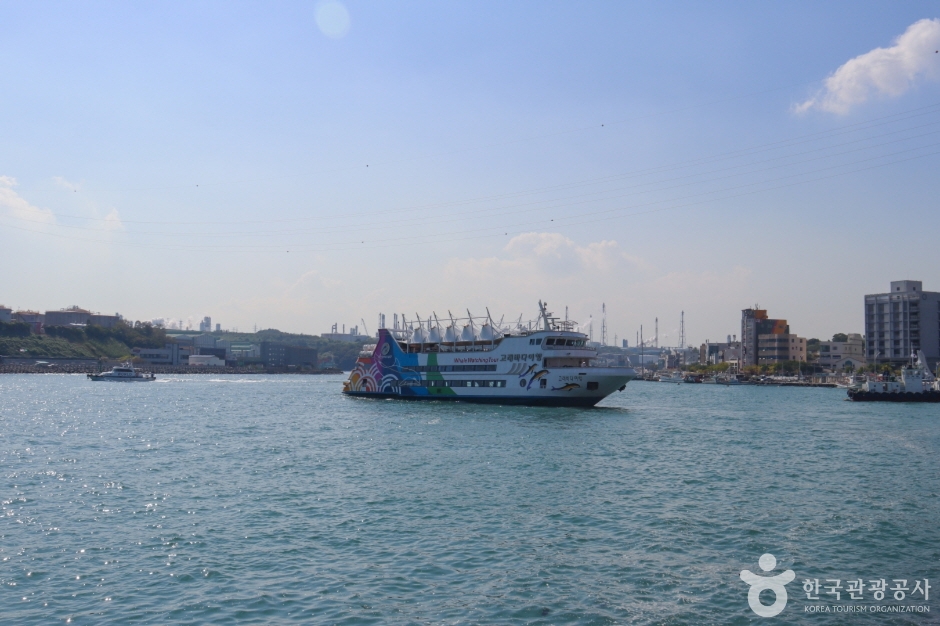 장생포 고래바다여행선 이미지 6