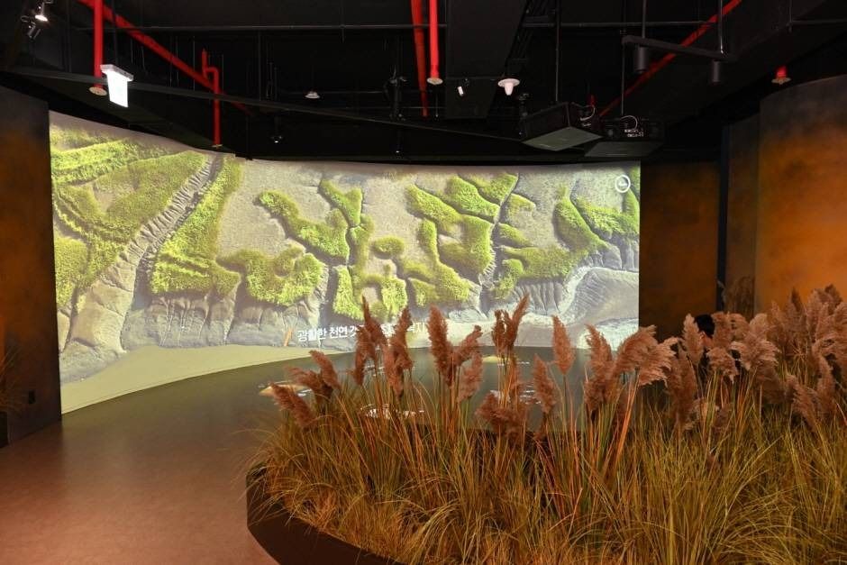 시흥 해양생태과학관 이미지 5
