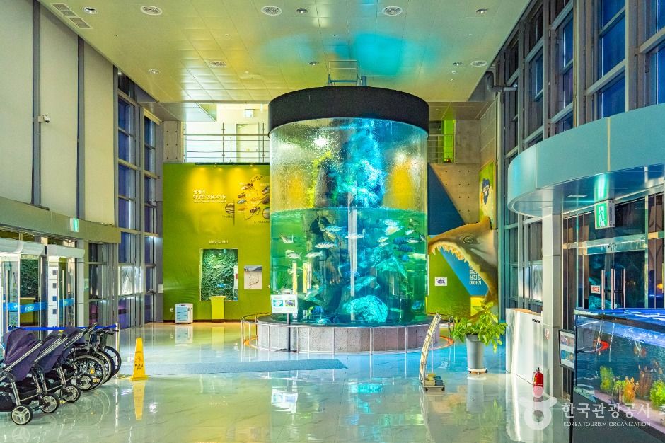 섬진강어류생태관 이미지 3