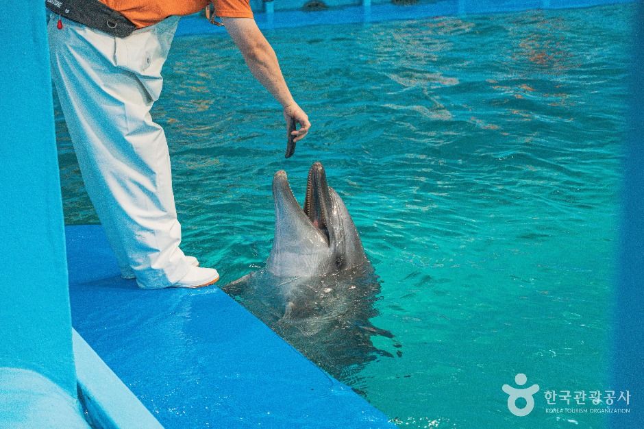 장생포 고래생태체험관 이미지 3
