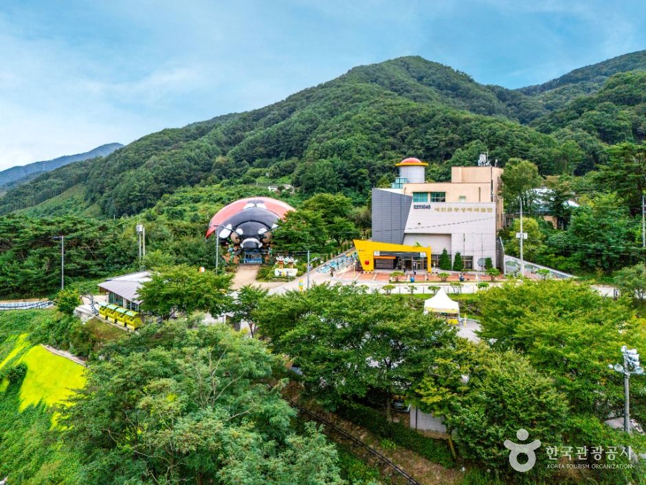 예천 곤충연구소&곤충생태원 이미지 1