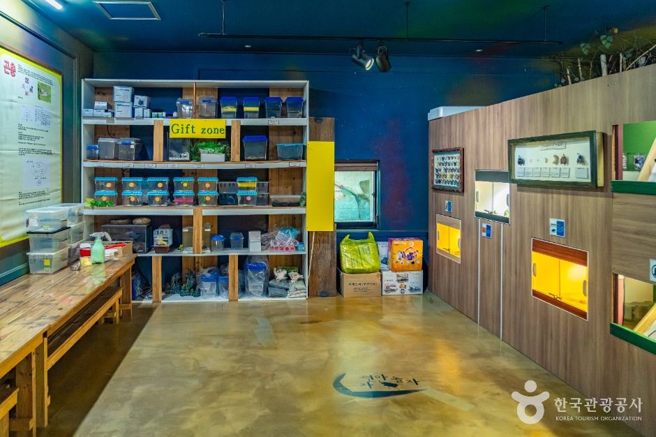 자연아놀자 체험학습박물관 이미지 3