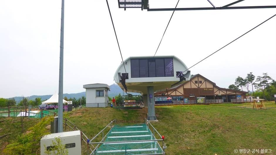 알펜시아 알파인코스터 이미지 5