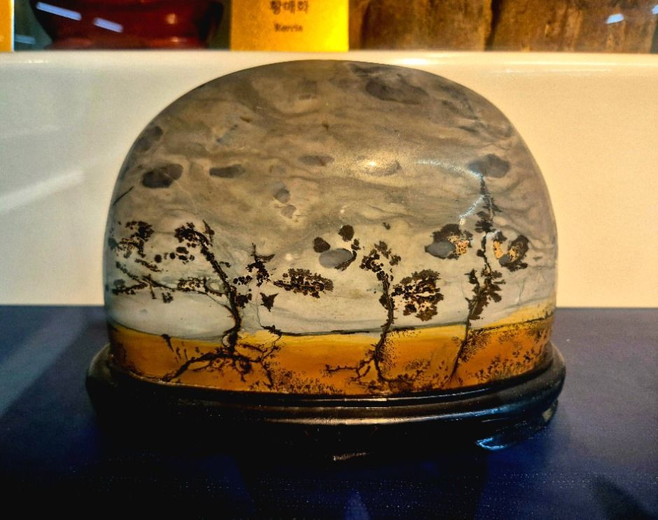 예술정원1999 이미지 5