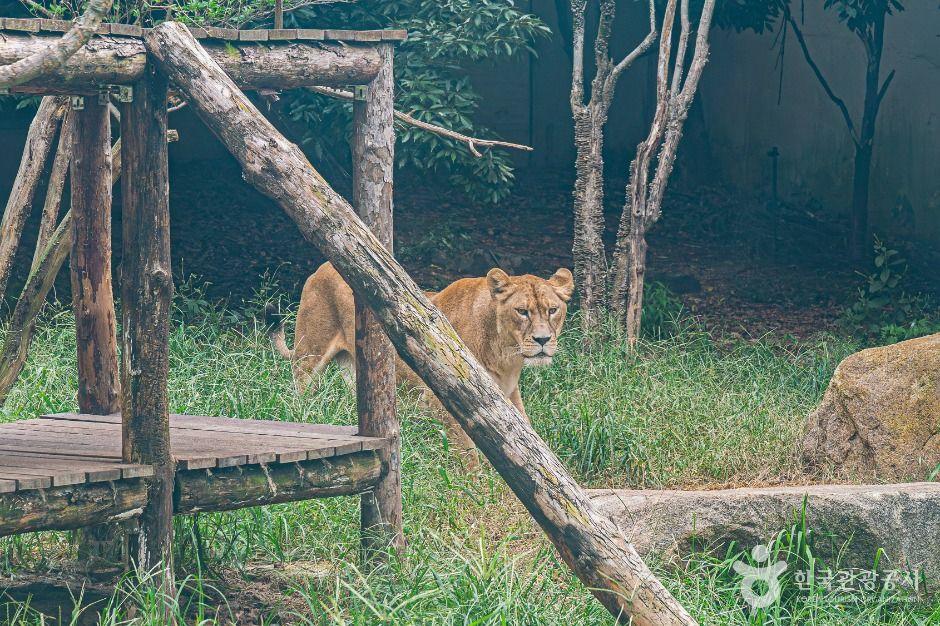 전주동물원 이미지 2