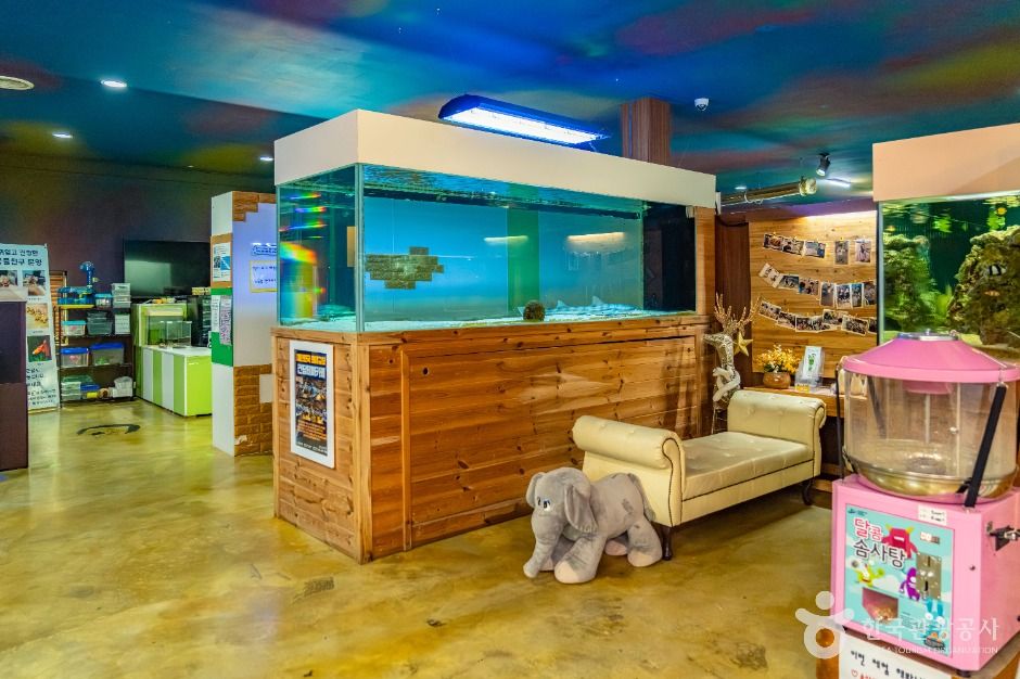 자연아놀자 체험학습박물관 이미지 1