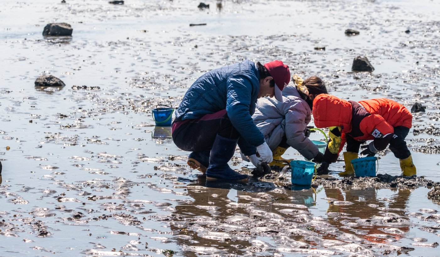 모항갯벌체험장 이미지 1