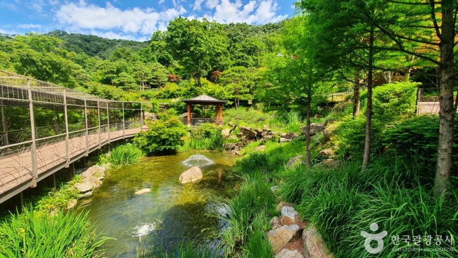 화담숲 모노레일 이미지 5