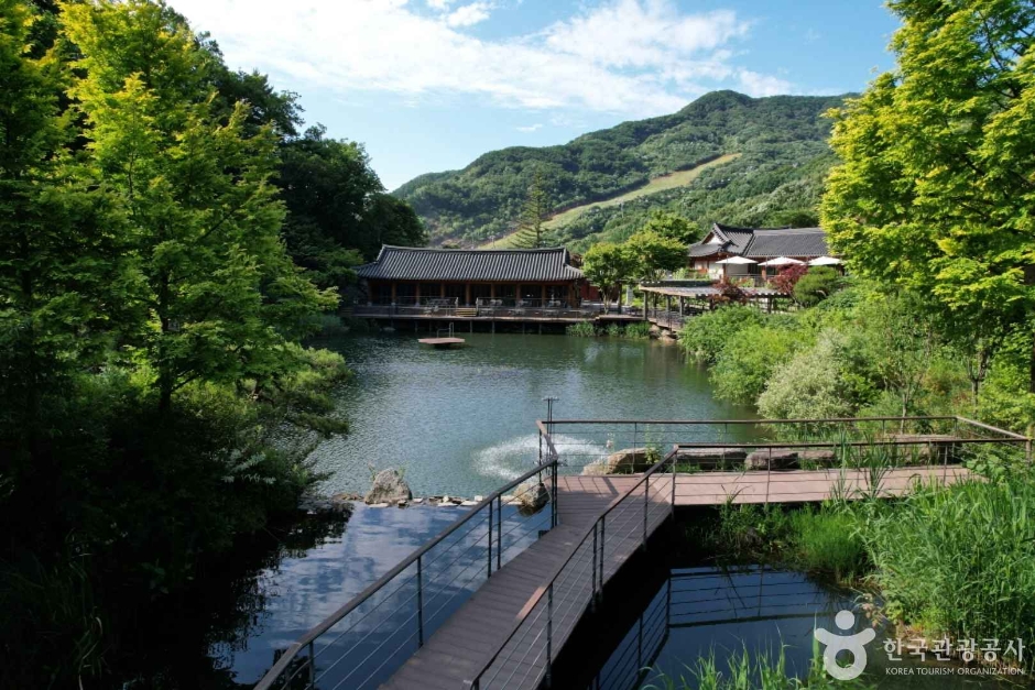 화담숲 모노레일 이미지 6