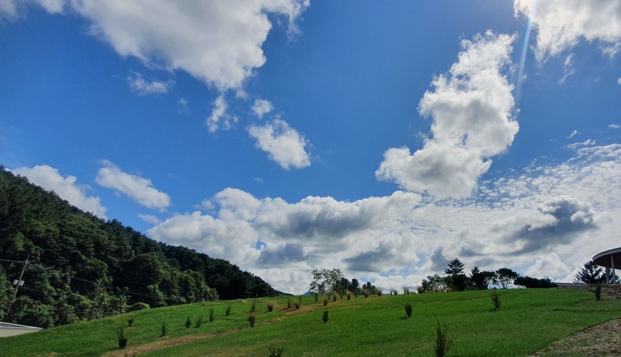 가평양떼목장 이미지 16