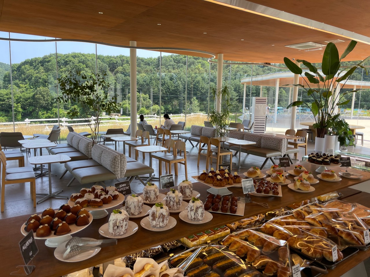 가평양떼목장 이미지 14