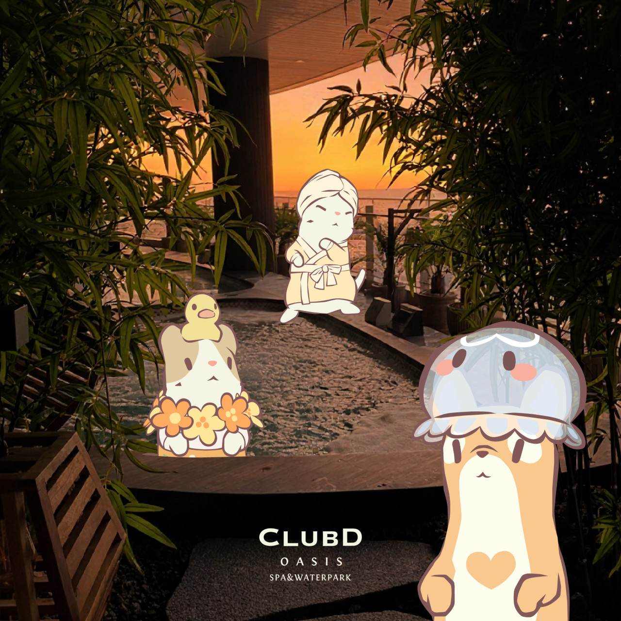 클럽디오아시스 스파&워터파크 이미지 1