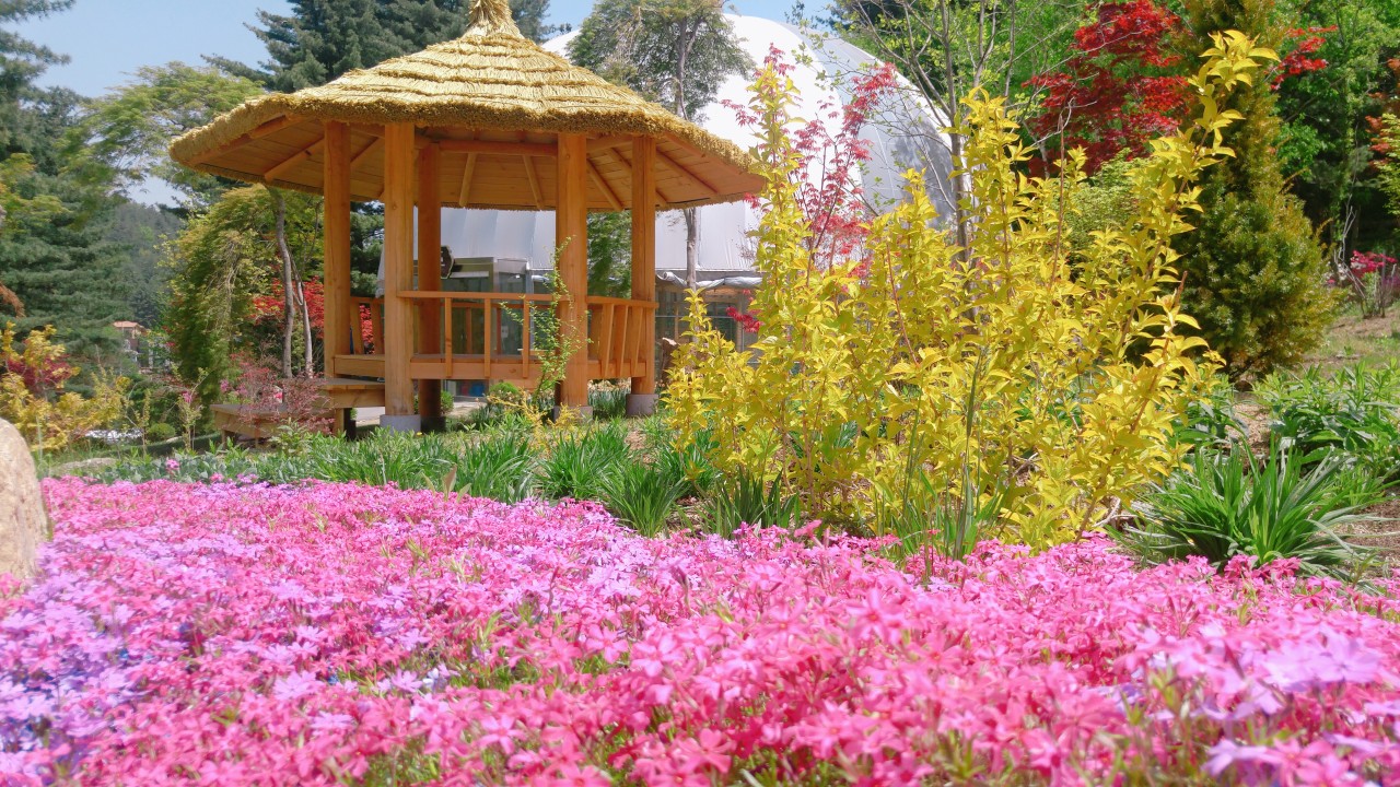 아침고요가족동물원 이미지 14