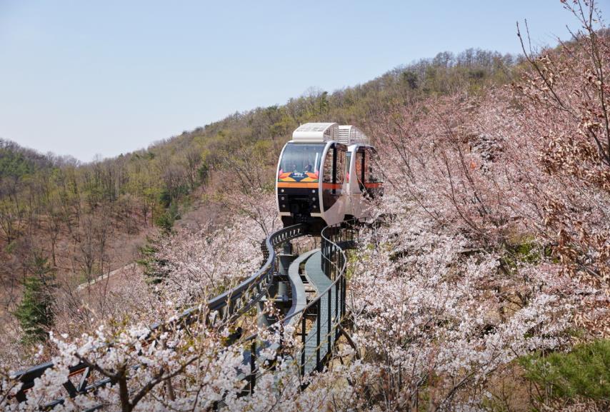 화담숲 모노레일 이미지 1