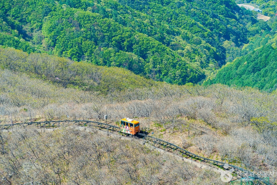 함양 대봉스카이랜드 모노레일 앤 짚라인 이미지 3