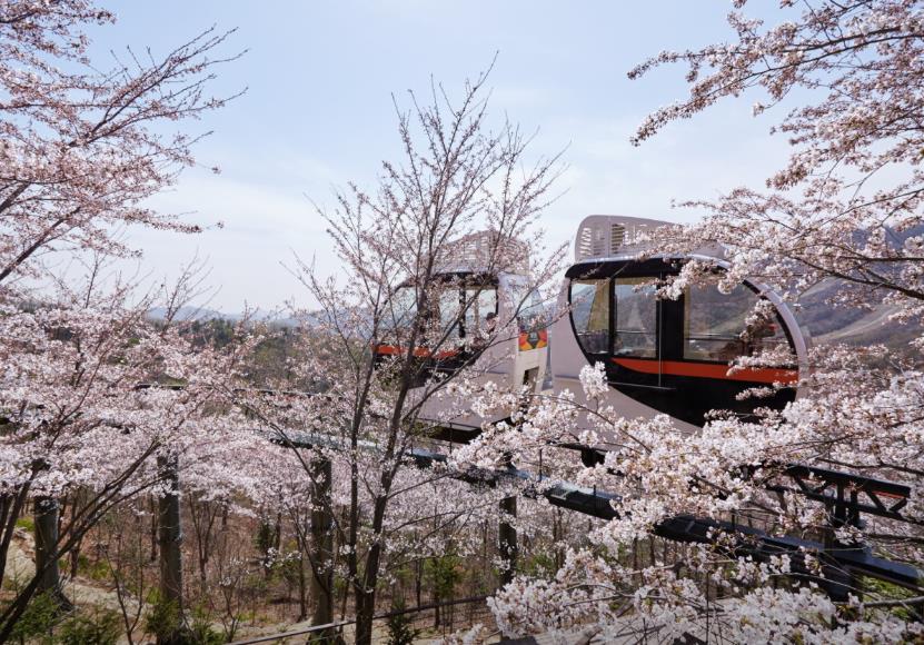 화담숲 모노레일 이미지 7