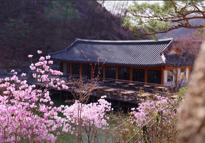 화담숲 모노레일 이미지 5