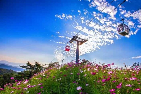 목포 해상케이블카 썸네일