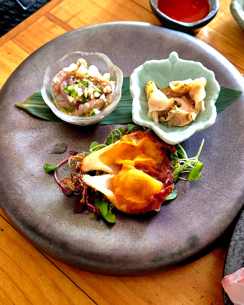 탄포포 이미지 4