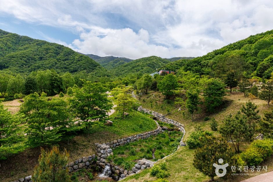 국립DMZ자생식물원 이미지 8