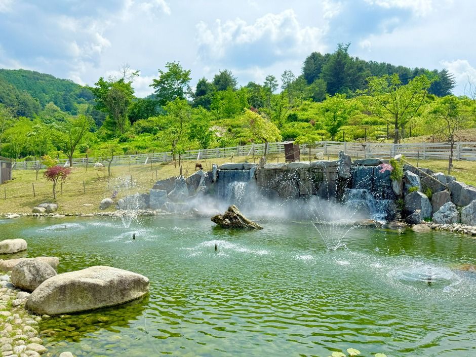 가평베고니아새정원 이미지 4