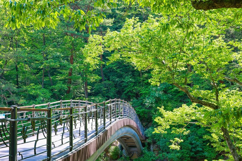 대원사계곡길 이미지 1