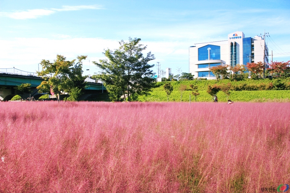 그라스원 이미지 4