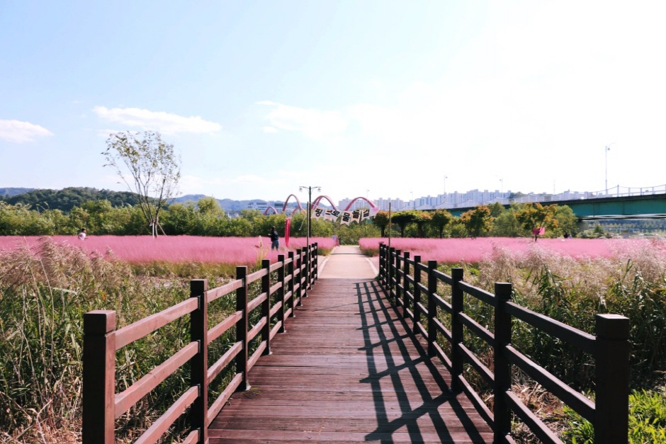 그라스원 이미지 3