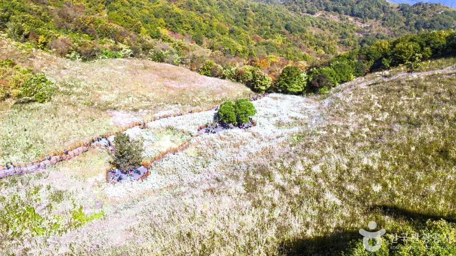 명성산 억새밭 이미지 8