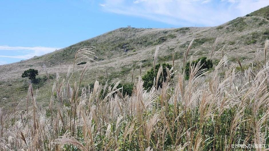 황매산 억새군락지 이미지 7