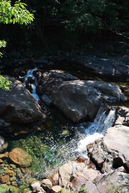 대원사계곡길 이미지 7