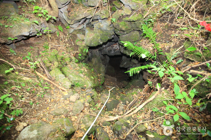 거문오름 [세계자연유산] 이미지 8