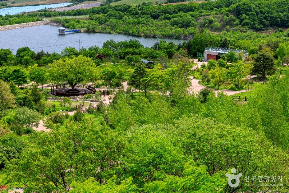 국립DMZ자생식물원 이미지 6