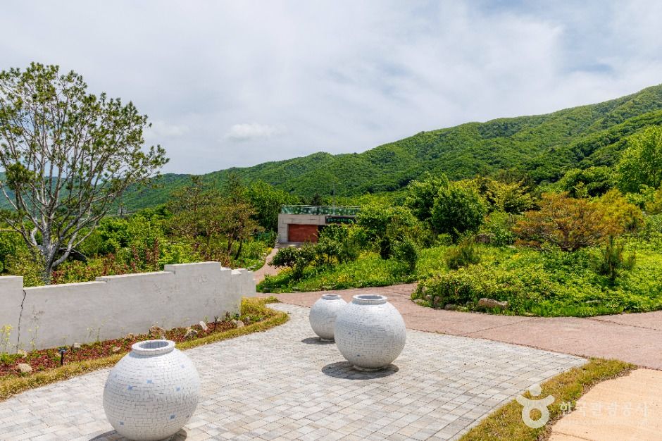 국립DMZ자생식물원 이미지 4