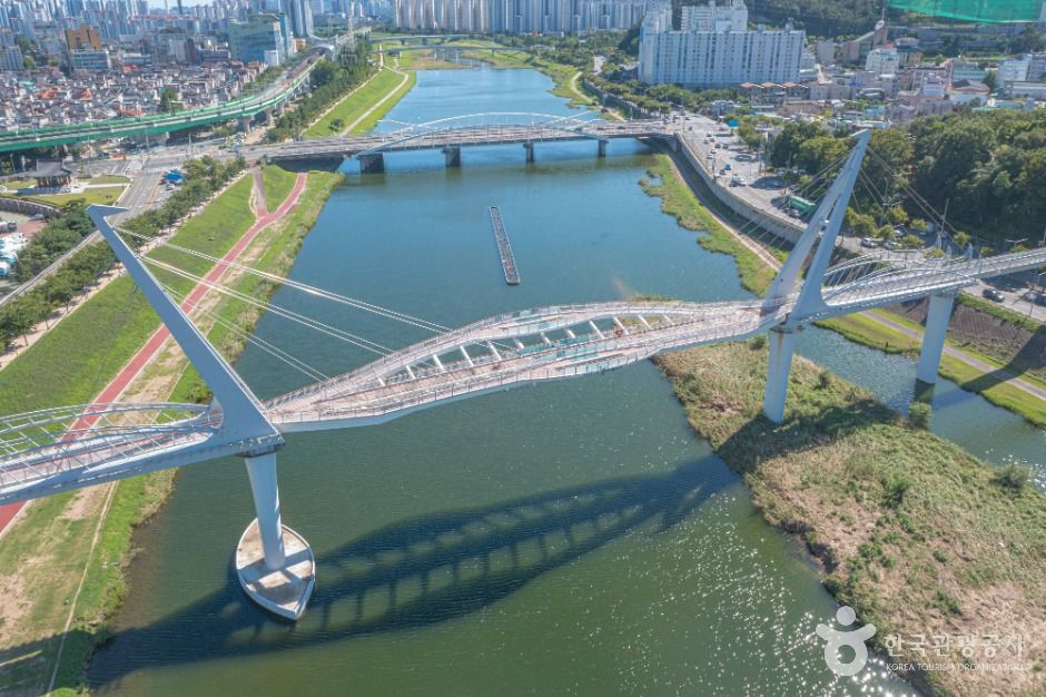 양산천 구름다리 이미지 1