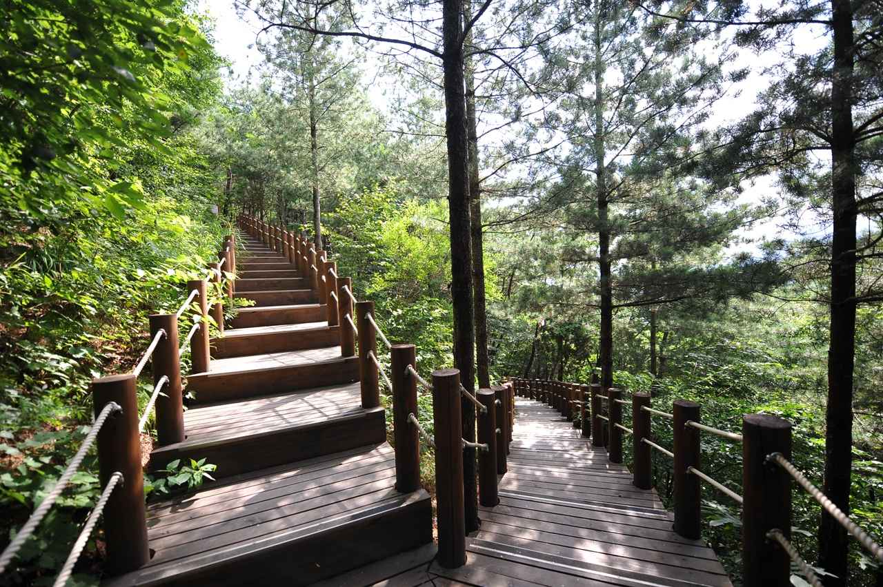 태권도공원 전망대 이미지 7