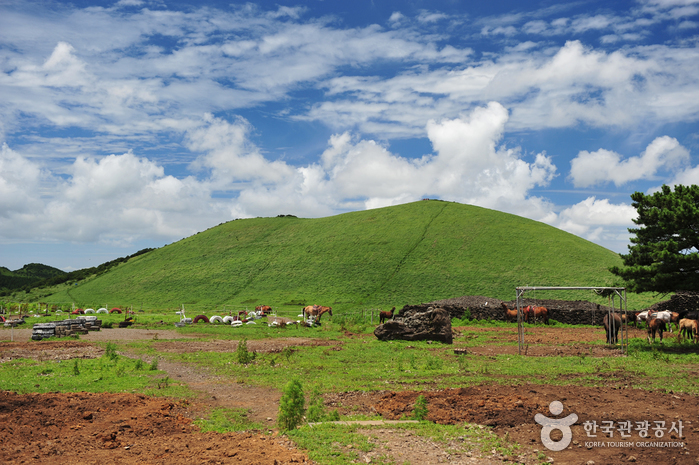 새별오름 이미지 2