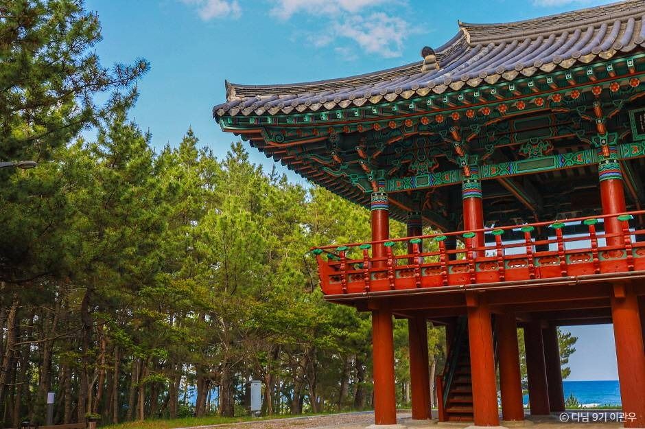 월송정 이미지 5