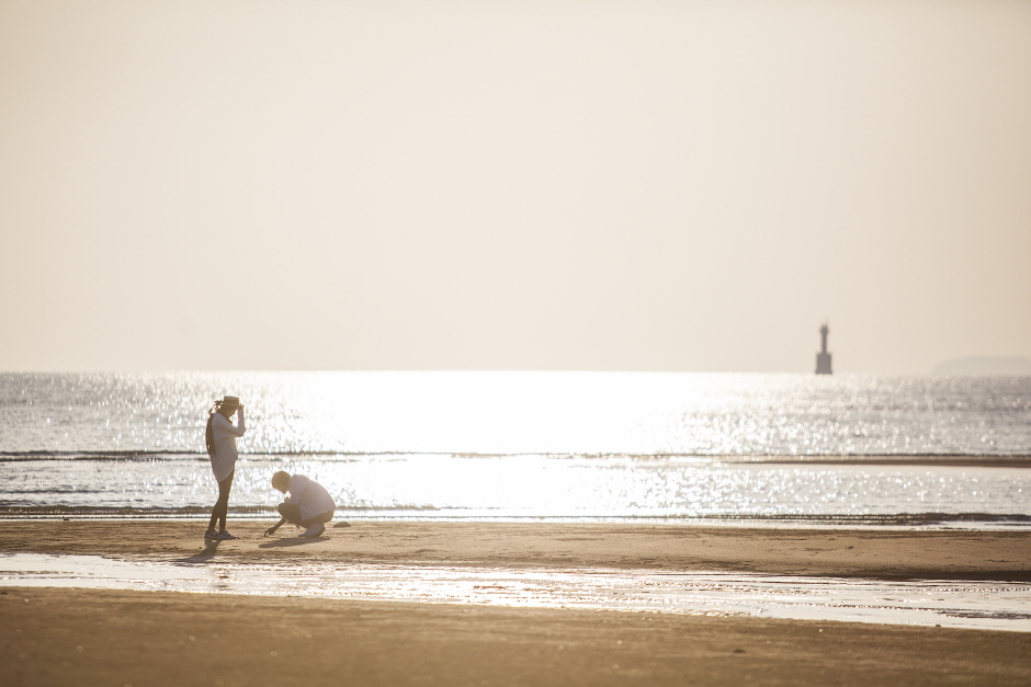 덕적도 갈대 군락지 이미지 5