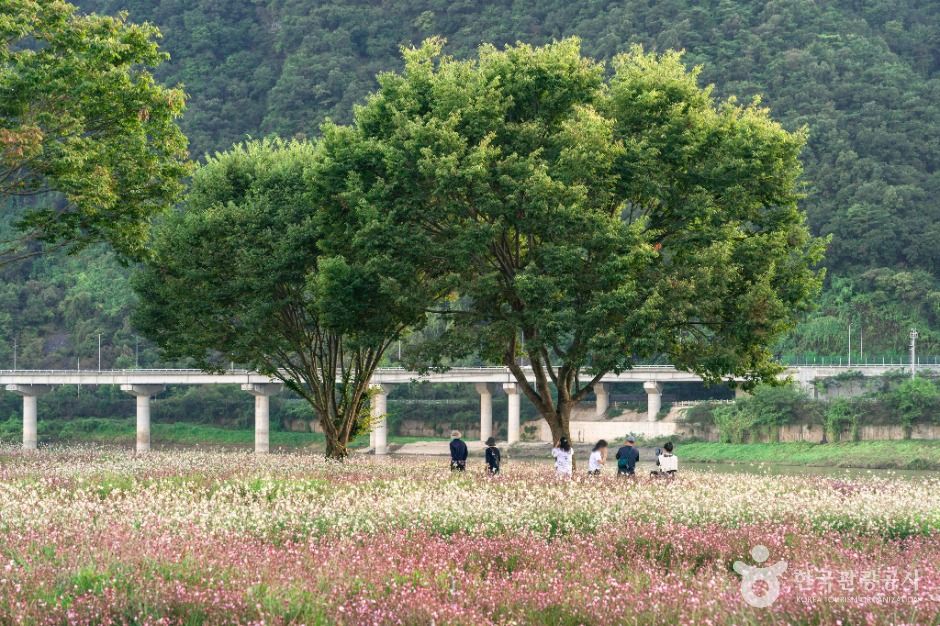 단양 도담정원 이미지 4