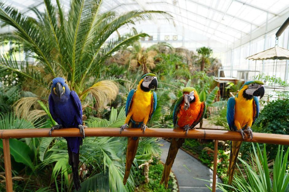 가평베고니아새정원 이미지 3