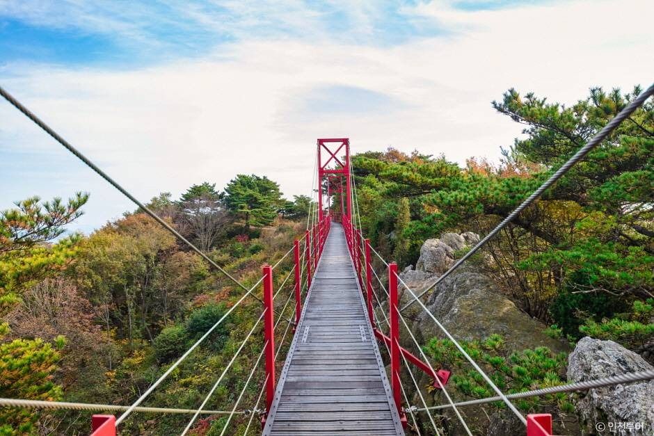 부아산 구름다리 이미지 1