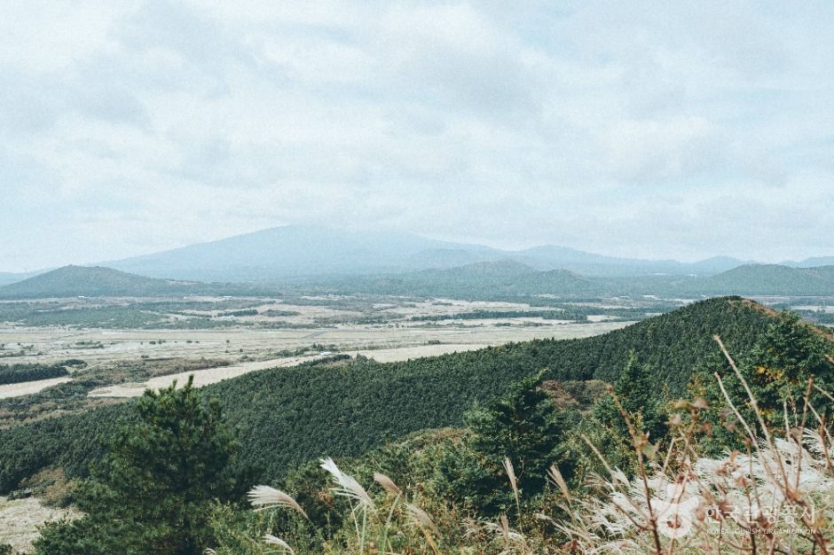 대록산(큰사슴이오름) 이미지 3