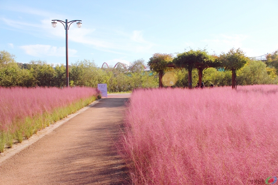 그라스원 이미지 1