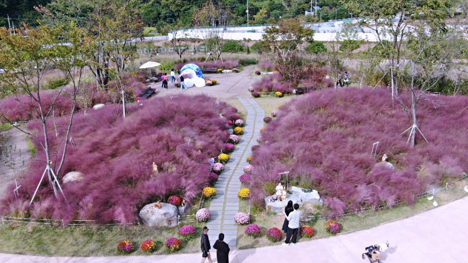 가평베고니아새정원 이미지 6