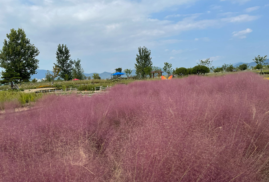 대산플라워랜드 이미지 2