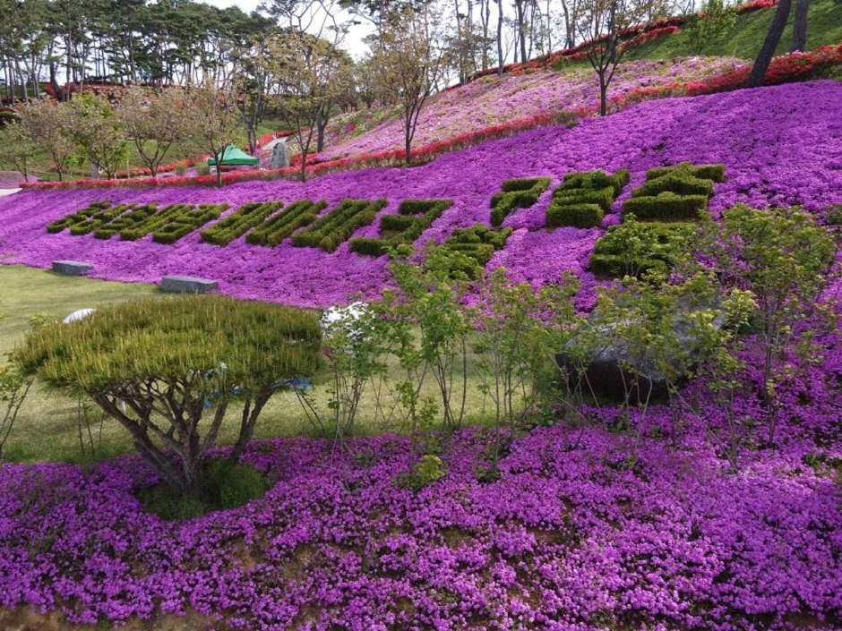 홍성솔바람테마파크 이미지 4